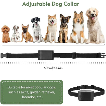 Electric Pet Fence Collars for Stubborn Dogs In-ground/Aboveground Pet