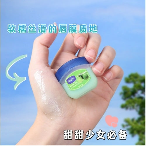 Ingredient Safety Moisturizing Lip Balm Base Hydrating Natural Plant