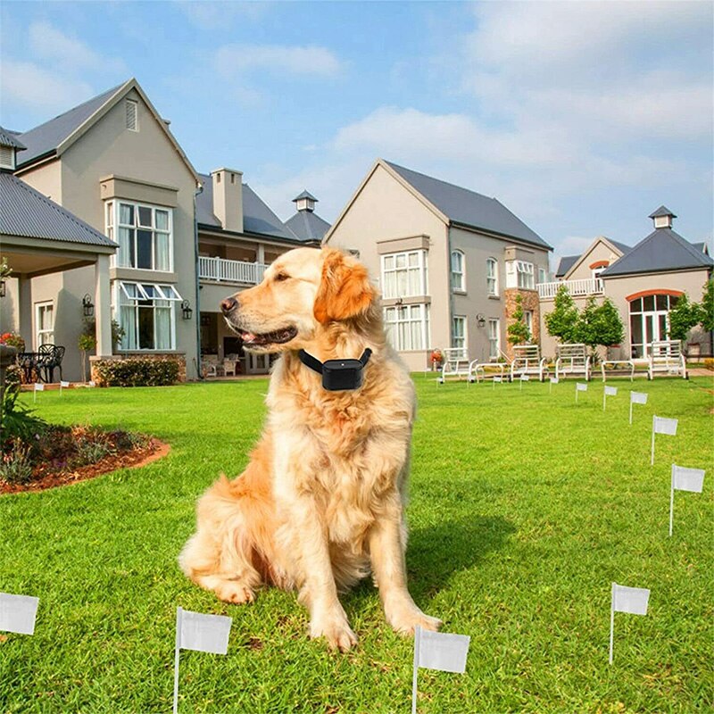 Invisible Wireless Electric Dog Fence System Outdoor Dog Training