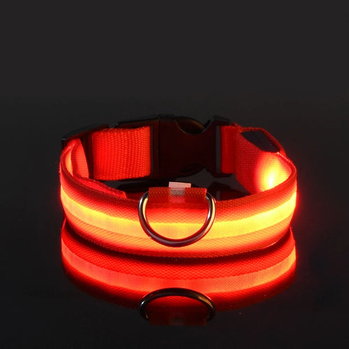 Nylon LED Night Safety Flashing Glow In The Dark Dog Leash Dogs