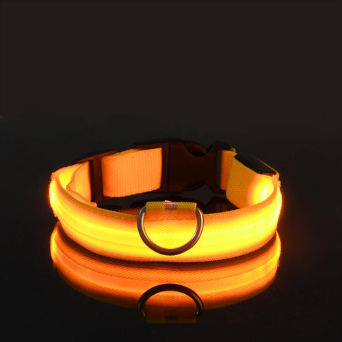 Nylon LED Night Safety Flashing Glow In The Dark Dog Leash Dogs