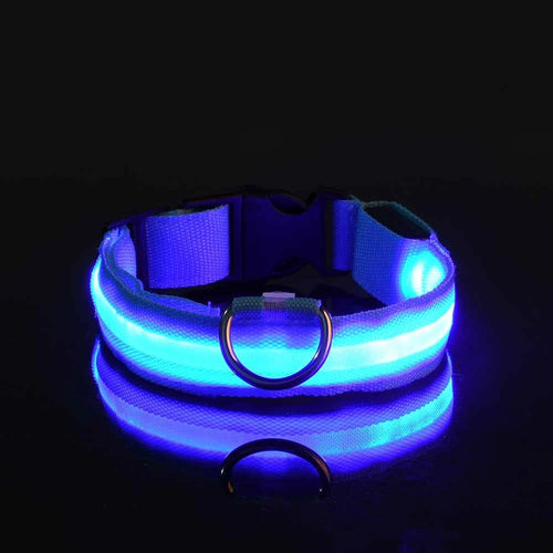 Nylon LED Night Safety Flashing Glow In The Dark Dog Leash Dogs