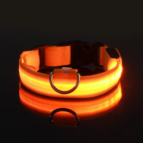 Nylon LED Night Safety Flashing Glow In The Dark Dog Leash Dogs