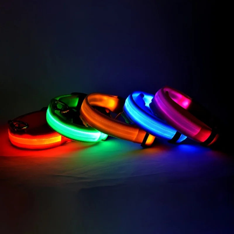 Nylon LED Night Safety Flashing Glow In The Dark Dog Leash Dogs