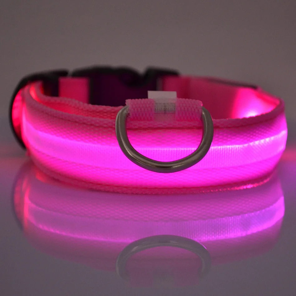 Nylon LED Night Safety Flashing Glow In The Dark Dog Leash Dogs