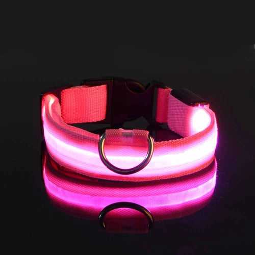 Nylon LED Night Safety Flashing Glow In The Dark Dog Leash Dogs